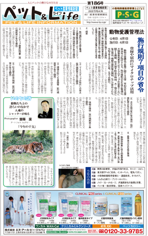 新着情報の画像