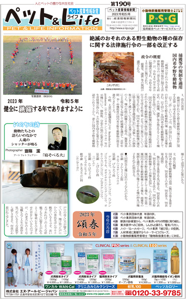 新着情報の画像